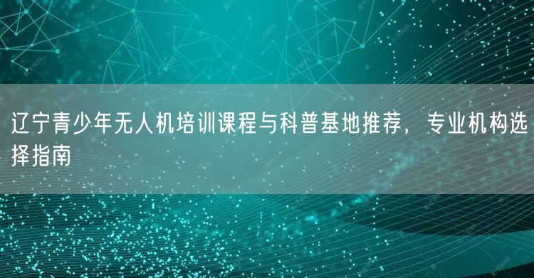 辽宁青少年无人机培训课程与科普基地推荐，专业机构选择指南