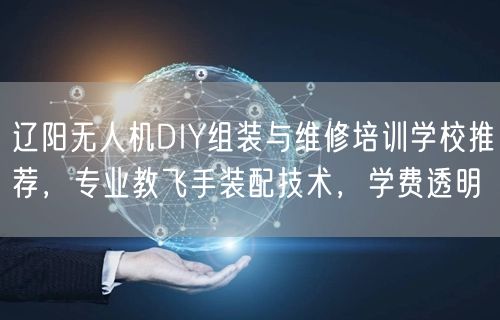 辽阳无人机DIY组装与维修培训学校推荐,专业教飞手装配技术,学费透明