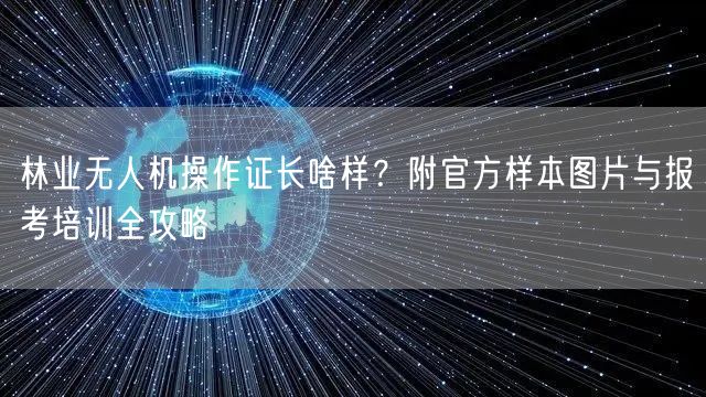 林业无人机操作证长啥样？附官方样本图片与报考培训全攻略