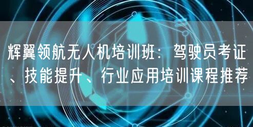 辉翼领航无人机培训班:驾驶员考证、技能提升、行业应用培训课程推荐
