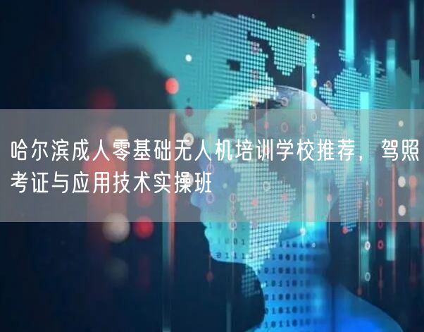 哈尔滨成人零基础无人机培训学校推荐，驾照考证与应用技术实操班