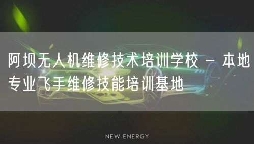 阿坝无人机维修技术培训学校 - 本地专业飞手维修技能培训基地 阿坝无人机维修技术培训学校 - 本地专业飞手维修技能培训基地