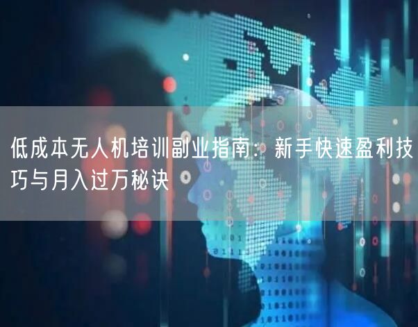 低成本无人机培训副业指南：新手快速盈利技巧与月入过万秘诀