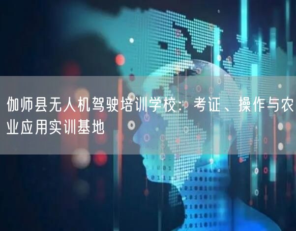 伽师县无人机驾驶培训学校:考证、操作与农业应用实训基地
