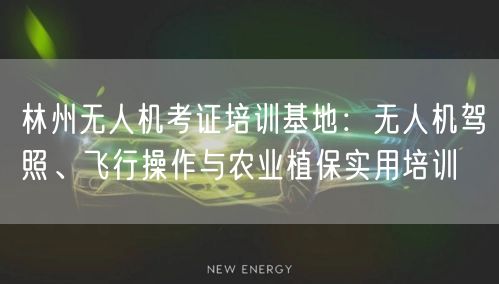 林州无人机考证培训基地：无人机驾照、飞行操作与农业植保实用培训