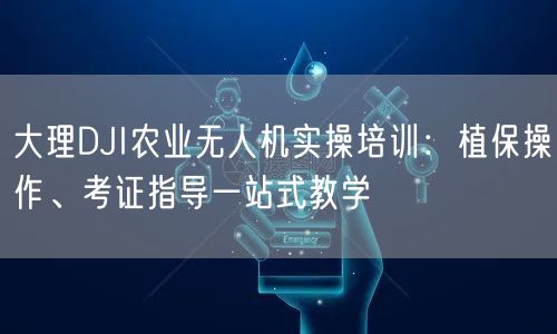 大理DJI农业无人机实操培训：植保操作、考证指导一站式教学