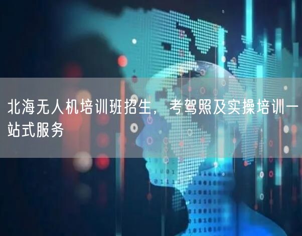 北海无人机培训班招生,考驾照及实操培训一站式服务