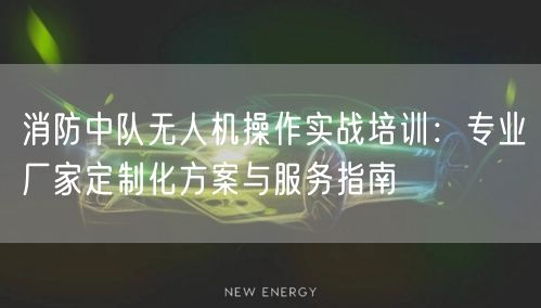 消防中队无人机操作实战培训：专业厂家定制化方案与服务指南