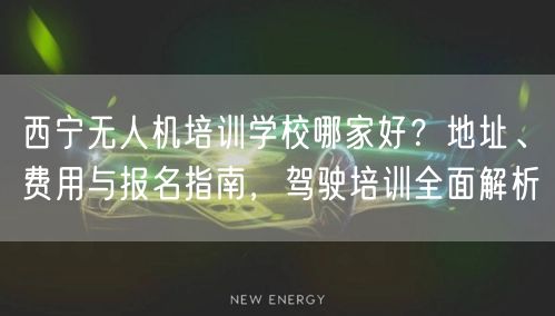 西宁无人机培训学校哪家好？地址、费用与报名指南，驾驶培训全面解析