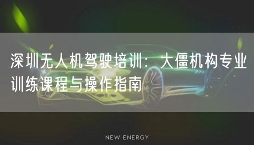 深圳无人机驾驶培训：大僵机构专业训练课程与操作指南
