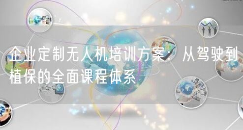 企业定制无人机培训方案：从驾驶到植保的全面课程体系