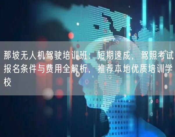 那坡无人机驾驶培训班：短期速成，驾照考试报名条件与费用全解析，推荐本地优质培训学校