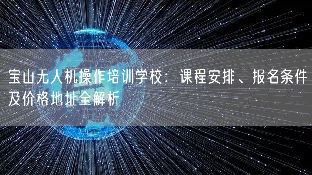 宝山无人机操作培训学校：课程安排、报名条件及价格地址全解析