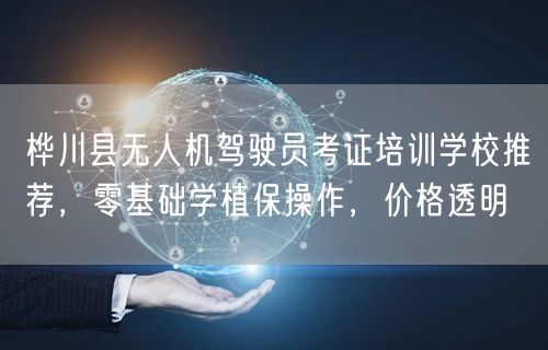 桦川县无人机驾驶员考证培训学校推荐，零基础学植保操作，价格透明