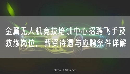 金翼无人机竞技培训中心招聘飞手及教练岗位,薪资待遇与应聘条件详解 金翼无人机竞技培训中心招聘飞手及教练岗位,薪资待遇与应聘条件详解
