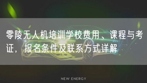 零陵无人机培训学校费用、课程与考证，报名条件及联系方式详解
