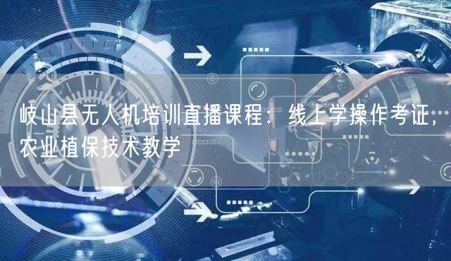 岐山县无人机培训直播课程：线上学操作考证，农业植保技术教学