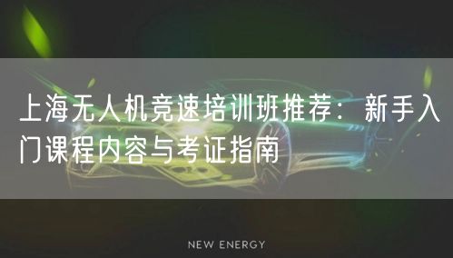 上海无人机竞速培训班推荐:新手入门课程内容与考证指南 上海无人机竞速培训班推荐:新手入门课程内容与考证指南