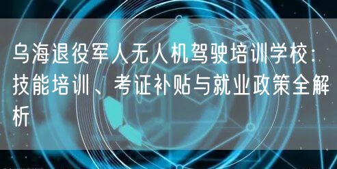 乌海退役军人无人机驾驶培训学校:技能培训、考证补贴与就业政策全解析 乌海退役军人无人机驾驶培训学校:技能培训、考证补贴与就业政策全解析
