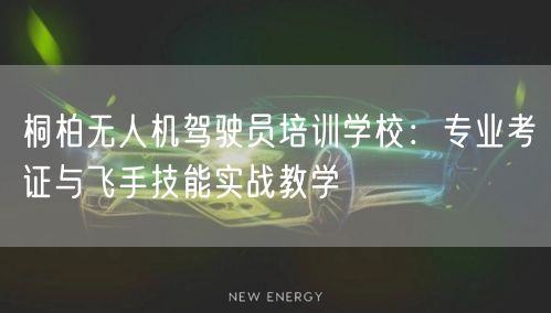 桐柏无人机驾驶员培训学校：专业考证与飞手技能实战教学