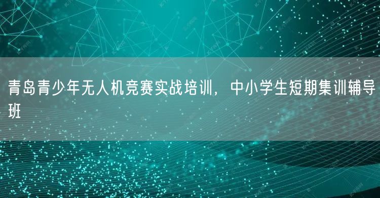 青岛青少年无人机竞赛实战培训,中小学生短期集训辅导班 青岛青少年无人机竞赛实战培训,中小学生短期集训辅导班