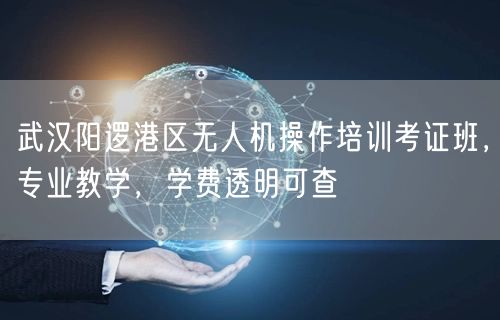 武汉阳逻港区无人机操作培训考证班，专业教学，学费透明可查