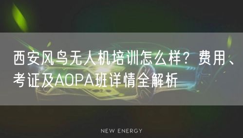西安风鸟无人机培训怎么样?费用、考证及AOPA班详情全解析 西安风鸟无人机培训怎么样?费用、考证及AOPA班详情全解析